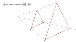 Homotecia  Definición y propiedades [upl. by Eak]