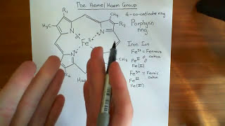 The Heme Group and Hemoglobin Part 1 [upl. by Sommer]