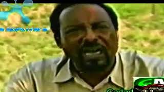 GUDO GALKII HARGEISA IYO BURCO 1988 EE HALGANKII SNM [upl. by Athalie]