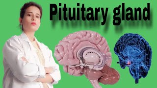 What is pituitary gland  By Physio Roshni Gautam [upl. by Zannini84]