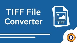 BitRecover TIFF Converter to Save MultiPage TIFF to PDF Word JPG [upl. by Lyreb]