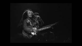 Bob Marley Demo HD  Tour Your Lights Down Low Exodus Album [upl. by Eilrac990]