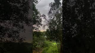 Tilagaon eco resort ✨🕊️ music song love dance race2 hindisongs 90severgreen shorts sylhet [upl. by Olegnaed]