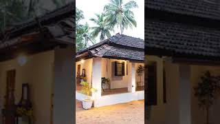 Starting A Homestay In Goa Process Cost Location Marketing  Ft Mavrick Cardoz  Tripoto Shorts [upl. by Zumstein]