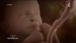 Nos bébés ont une histoire le documentaire événement sur la vie in utéro [upl. by Atinrahs]