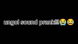 ungol sound prank volume 1200 [upl. by Burrill890]