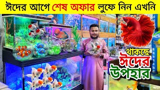 Aquarium Price In Bangladesh 🐠Aquarium Fish Price In BD 😱 Aquarium Fish Wholesale Market Katabon [upl. by Norry]