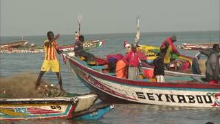 vakantie Gambia [upl. by Coit718]