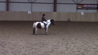 DRESSAGE challenge club aux Ecuries du Val de lEure  Zoé présente Révéal [upl. by Jilli]