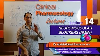 Autonomic Pharmacology Ar  Lec 14  Neuromuscular blockers NMBs [upl. by Eneloc136]