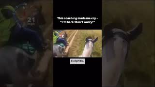 Amazing coaching 🏆 horses equestrian horsebackriding [upl. by Reedy]