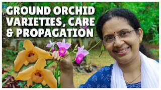 Orchid Care for Beginners  How to repot Phalaenopsis Orchids [upl. by Wiseman896]