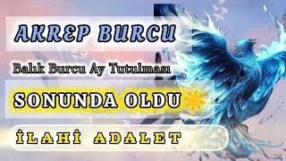 AKREP BURCU GELİYOR GELMEKTE OLAN 👑 [upl. by Sinnek]