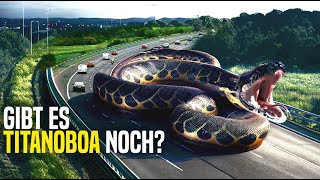 Die Größte Schlange der Erde Wurde von der Kamera Gefilmt Ist das eine Titanoboa [upl. by Lechner]