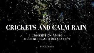 🦗Crickets Chirping and 🌧️Calm Rain ASMR Sound I Deep Sleep and Relaxation 9 hours Meditation Sound [upl. by Sellers]