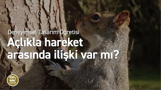 Deneyimsel Tasarım Öğretisi  Açlıkla hareket arasında ilişki var mı [upl. by Hugues]