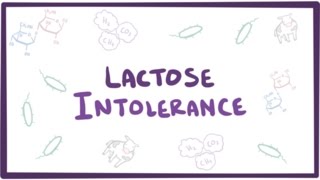 Lactose intolerance  causes symptoms diagnosis treatment amp pathology [upl. by Alrad566]