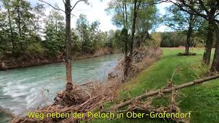 Hochwasser in OberGrafendorf NÖ  Pielachtal [upl. by Andriana938]