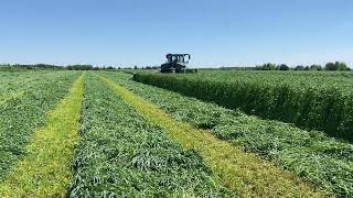 Заготівля сінажу косаркою Samasz KDD 841W KDF 301W Harvesting rye hay with a Samasz KDD841W KDF301W [upl. by Llennehc]