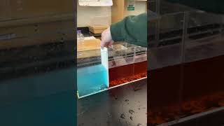 Oceanography  Warm Water vs Cold Salty Water [upl. by Tisman601]