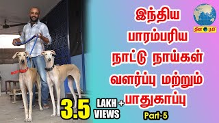 Chippiparai  இந்தியாவின் பாரம்பரிய நாட்டு நாய்கள் வளர்ப்பு  Indian Dog Breed Lover  Part 5 [upl. by Hijoung]