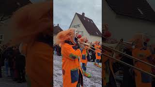 youtubeshorts viral shorts fasnacht weil [upl. by Adnorat]