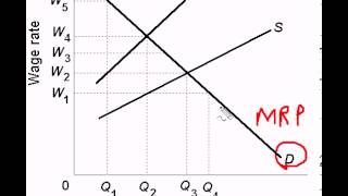 Equilibrium Wage and Employment Under Monopsony [upl. by Sapers]