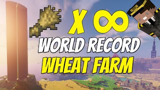 The BIGGEST Wheat Farm in Minecraft World Record  PurityVanilla [upl. by Emlynn731]