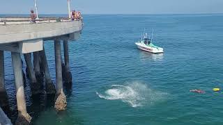 Junior Lifeguards Jump off Venice Pier [upl. by Eilyk]