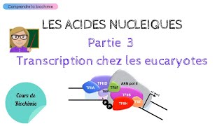 TRANSCRIPTION CHEZ LES EUCARYOTES  ACIDES NUCLEIQUES Partie 3  Biochimie Facile [upl. by Thad]