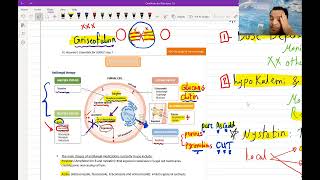 Antifungal Antiviral Antiretroviral Theapy For USMLE Step Free trial Course in Description Below [upl. by Chase388]