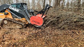 Forestry Mulching with the Case DL550 Minotaur Fecon and Dirt Perfect [upl. by Richart]