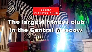 ZEBRA FITNESS CLUB  The Largest Fitness Club in the Central Moscow Россия [upl. by Aggri701]