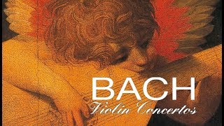 JS Bach The Violin Concertos [upl. by Chernow]