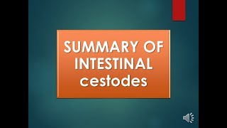 Summary of Cestodes and Nematodes by Dr Shaimaa Sharaf ElDeen [upl. by Garry]