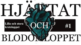 Åk 8 Blodomloppet del 1 Stora och lilla kretsloppet [upl. by Chapa]