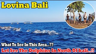 What To See In This Area of Bali Have You Seen Dolphins Here Lovina Bali 2024 [upl. by Lambert428]