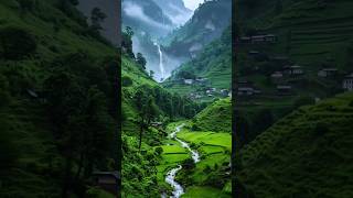 Nature status  whatsapp status morning nature shorts [upl. by Idnic]