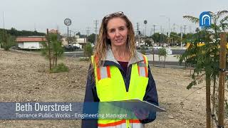 Torrance Beautification 40 Trees Planted at I405 OnRamp [upl. by Areht810]