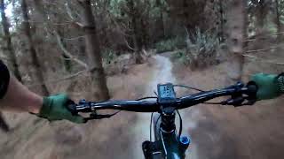 Amateurs Guide Maryvale Pines MTB Park Part 2 [upl. by Neiht843]