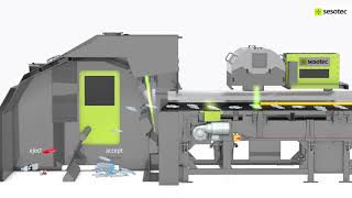 MultiSensor Sorting System VARISORT  2chute version [upl. by Anselm]