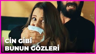 Pelini Bayıltıp Kaçırdılar  Tatlı İntikam 17Bölüm [upl. by Pozzy861]