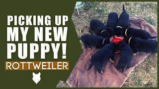 Bringing Home My NEW ROTTWEILER PUPPY First Week At Home [upl. by Arriaet71]