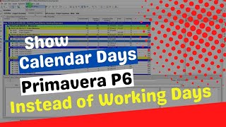 How to Show Calendar Days in Primavera P6 Show Calendar days not working days Simple Tips [upl. by Enamart]