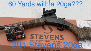 Turkey shotgun build Federal TSS Is it worth it Stevens 301 20ga [upl. by Hanaj939]