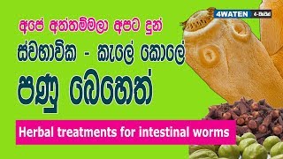 Intestinal worms treatments  පණුවන් නසන දේශීය ඖෂධ [upl. by Otreblasiul906]