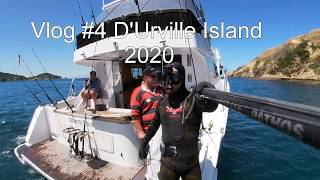 DUrville Island Spearfishing Trip Vlog 4 [upl. by Eirhtug]