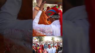 Bishnoi samaj mayra 👰😍 bishnoiculture bishnoivideo bishnoi [upl. by Giarg]