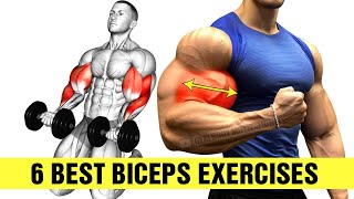 6 Best Biceps Exercises At Gym For Bigger Arms [upl. by Ellehcear]