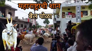 Bail Pola 2024 🤩  Maharashtrian Festival Pola  village Pola Vlog ❤️ [upl. by Ilehs]